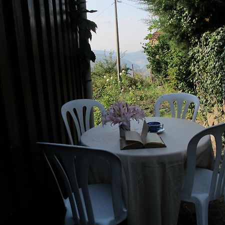 Casa Do Moleiro Guest House Cinfaes Bagian luar foto